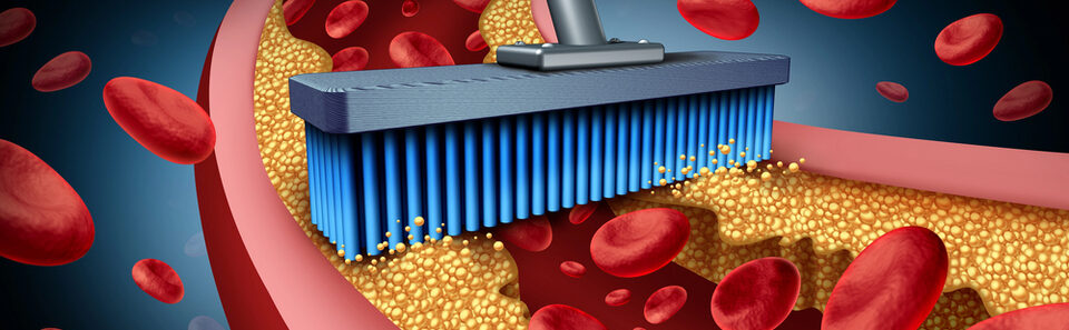 Americanpathologists